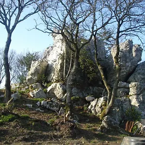 Gasthuis Le Rocher Du Samoyede, Dirinon